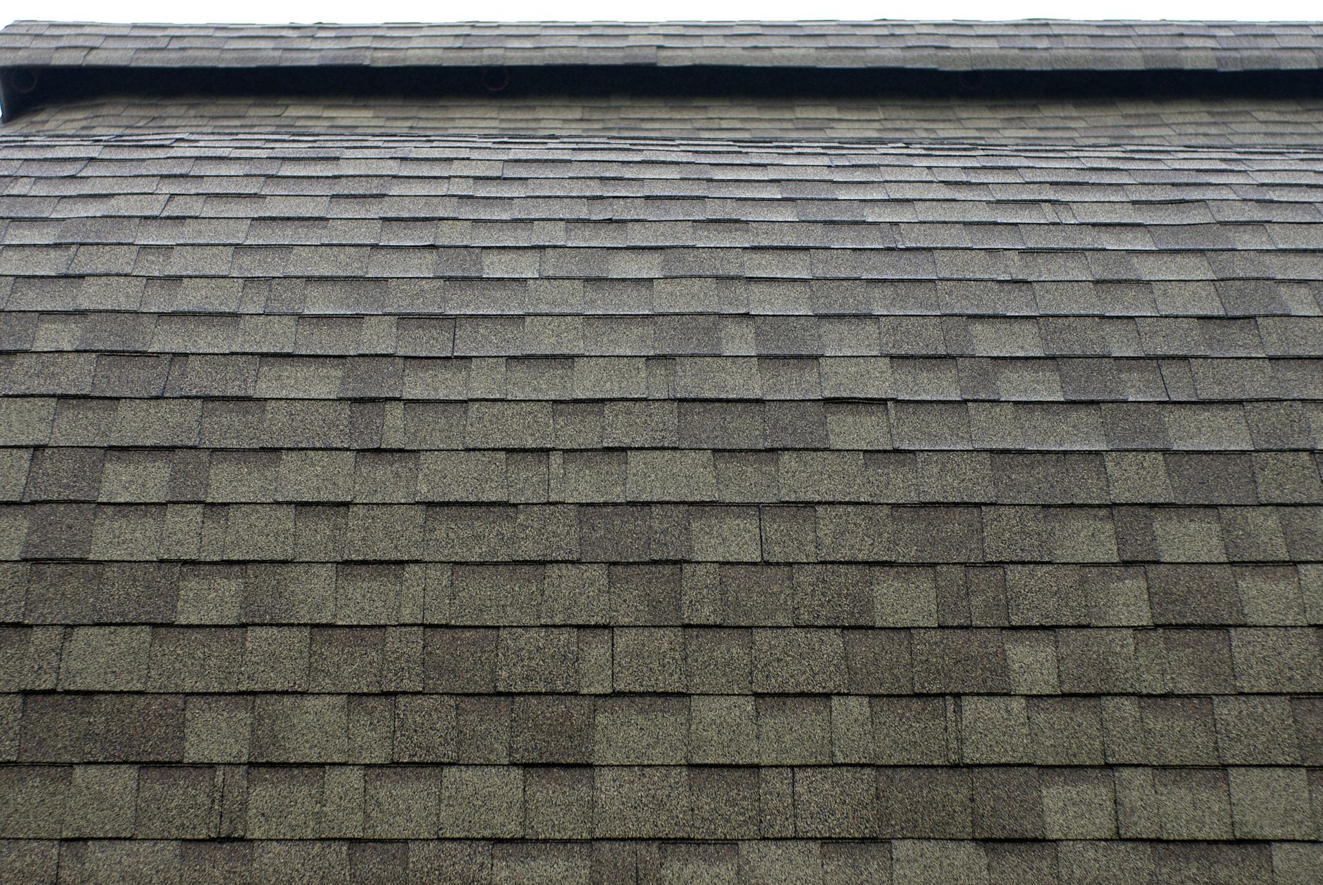 Roofing Contractor